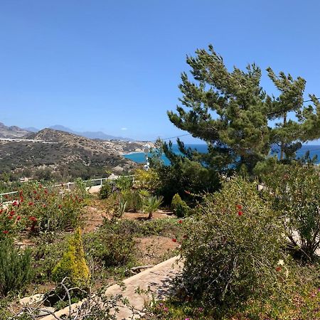 Villa Aliki Myrtos Exterior foto