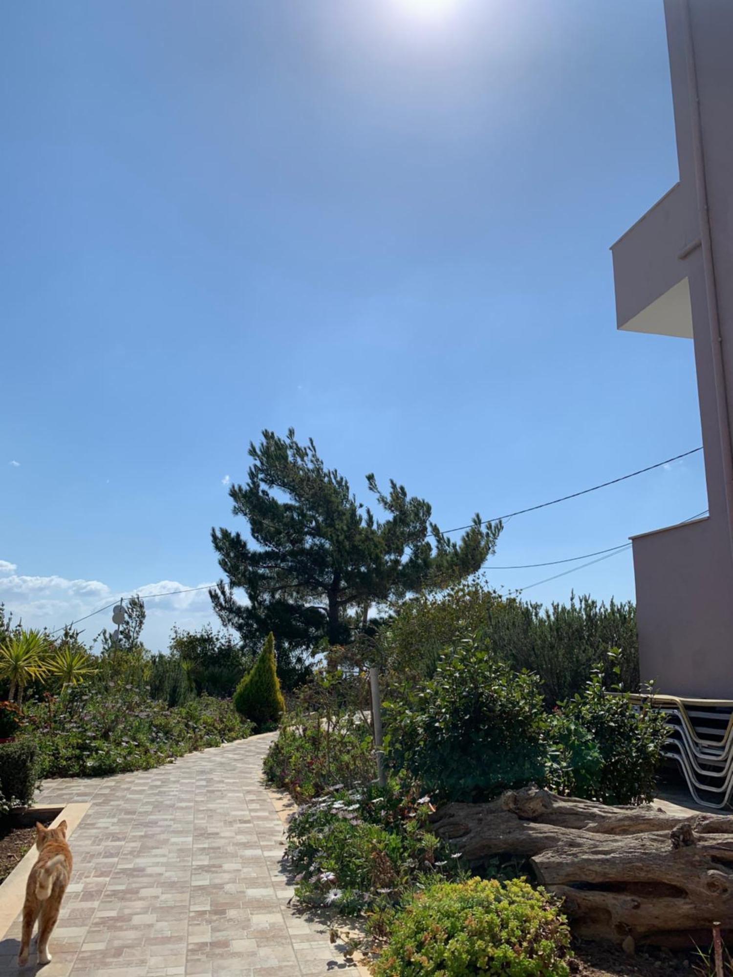 Villa Aliki Myrtos Exterior foto