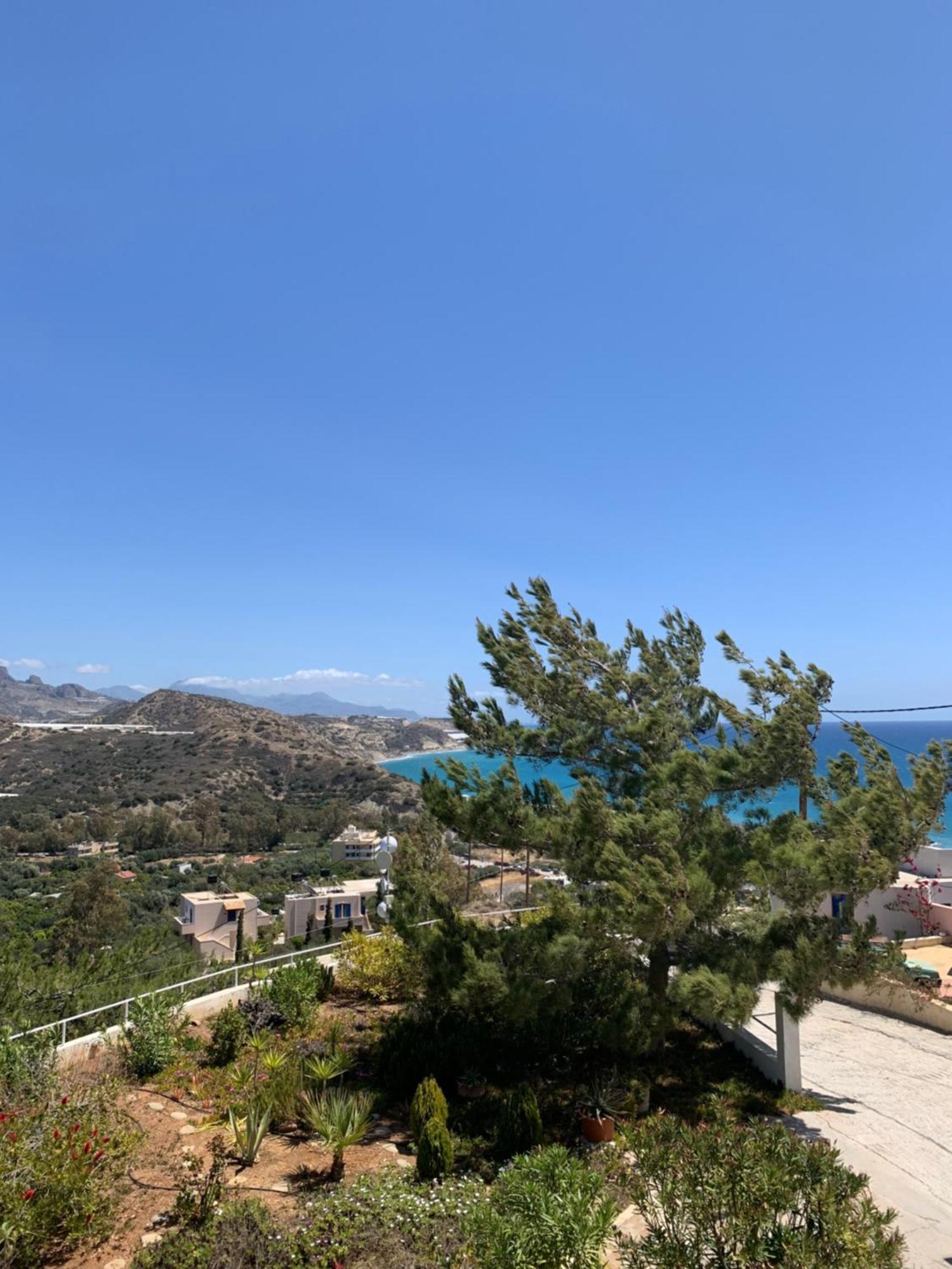 Villa Aliki Myrtos Exterior foto