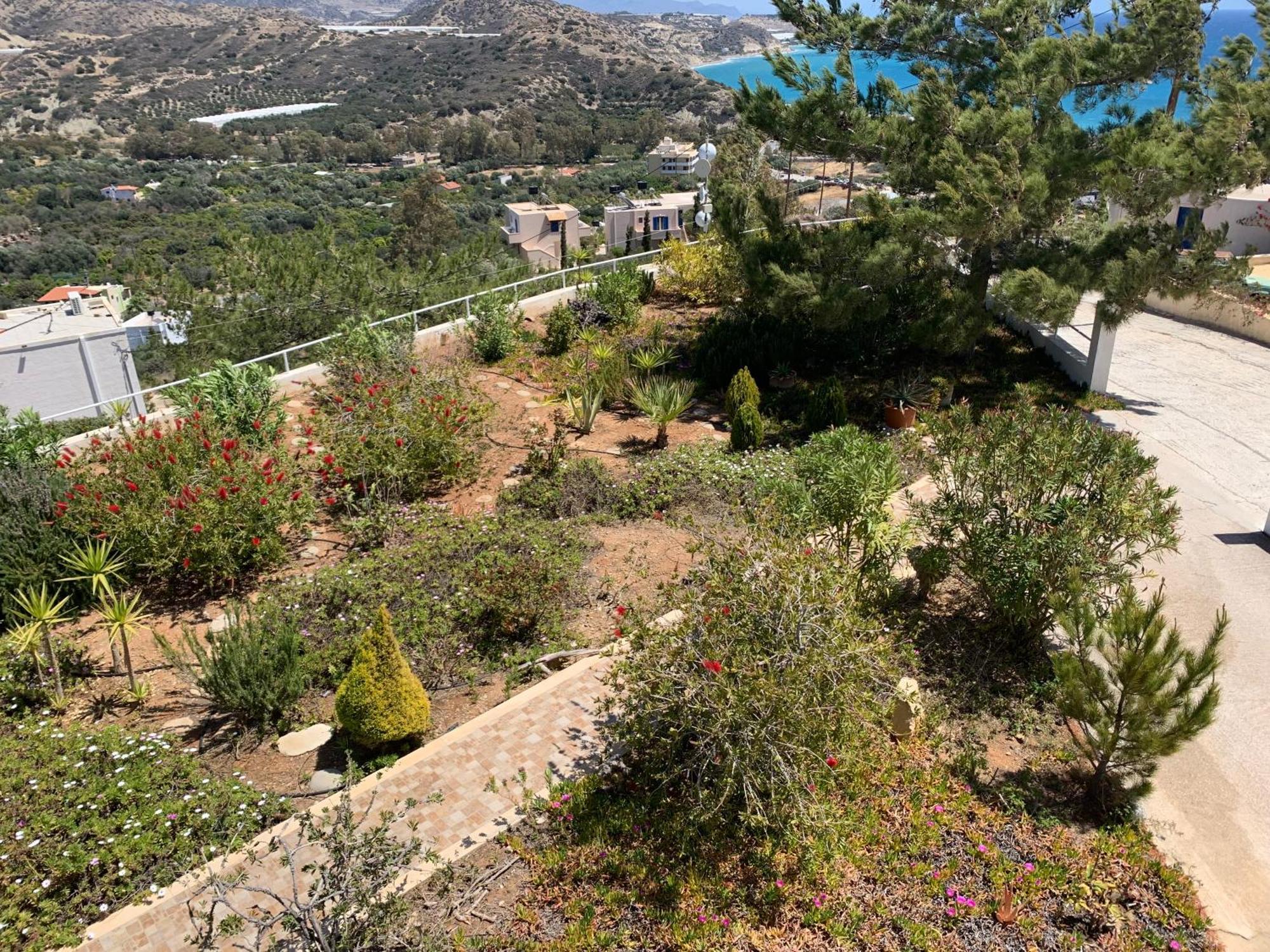 Villa Aliki Myrtos Exterior foto