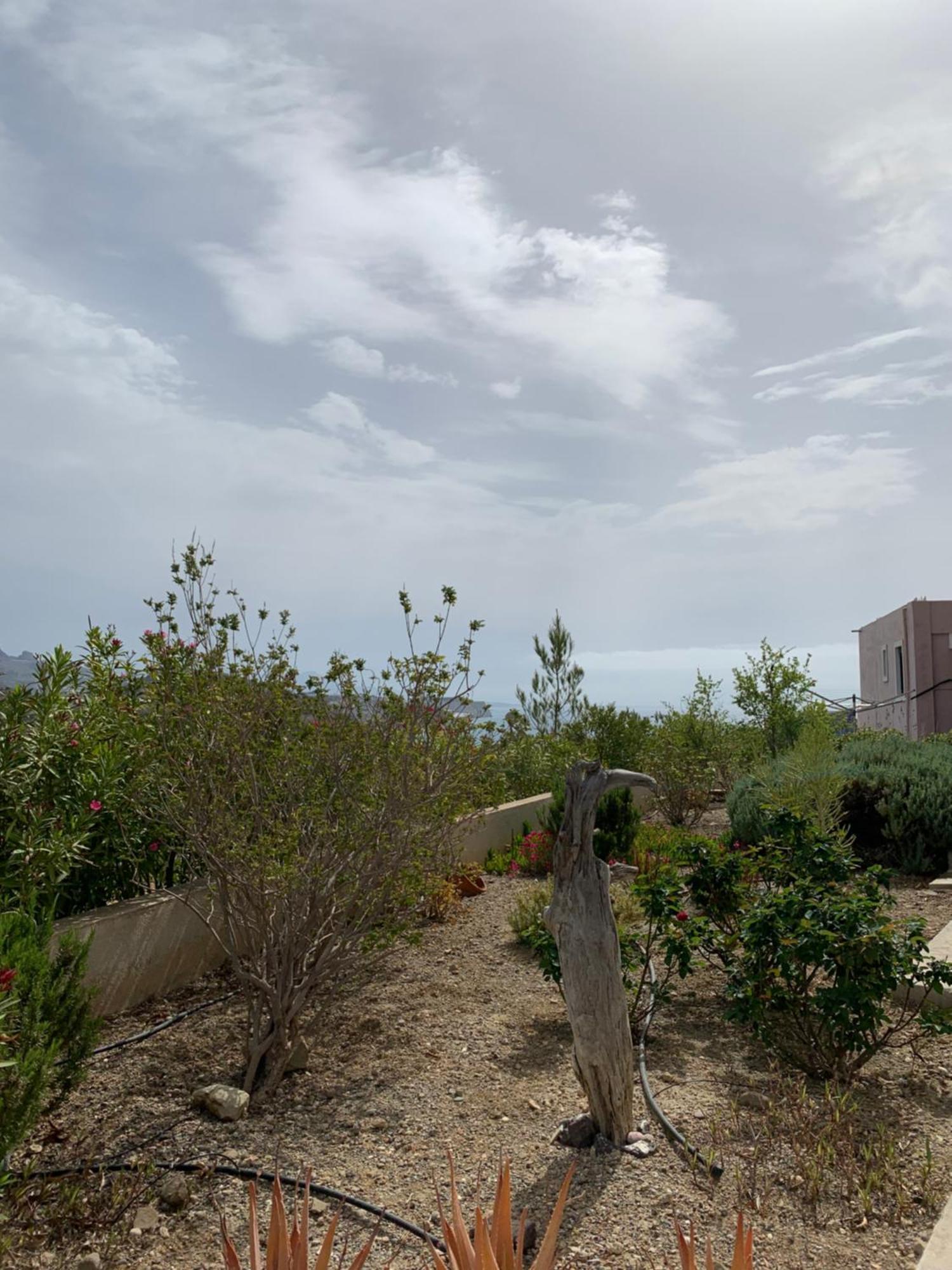 Villa Aliki Myrtos Exterior foto