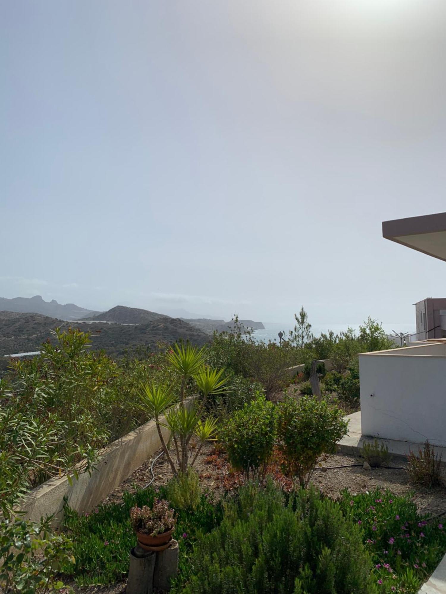 Villa Aliki Myrtos Exterior foto